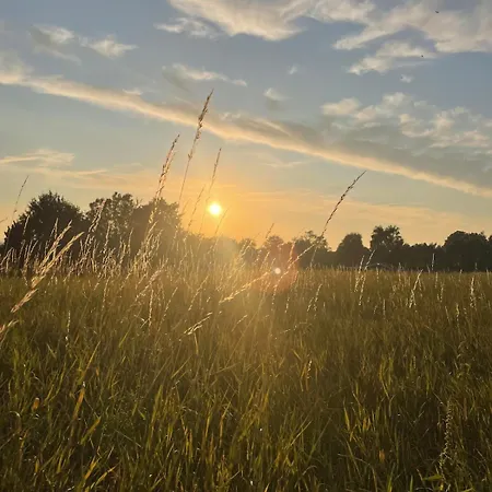 In Beautiful Nature * Vordingborg