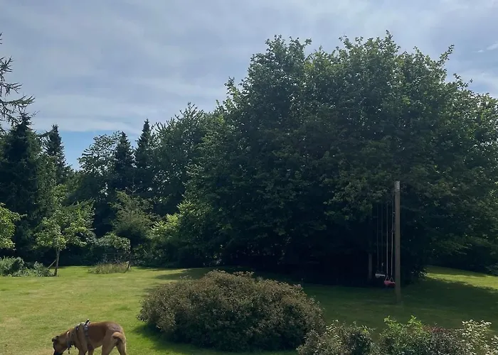 In Beautiful Nature Vordingborg